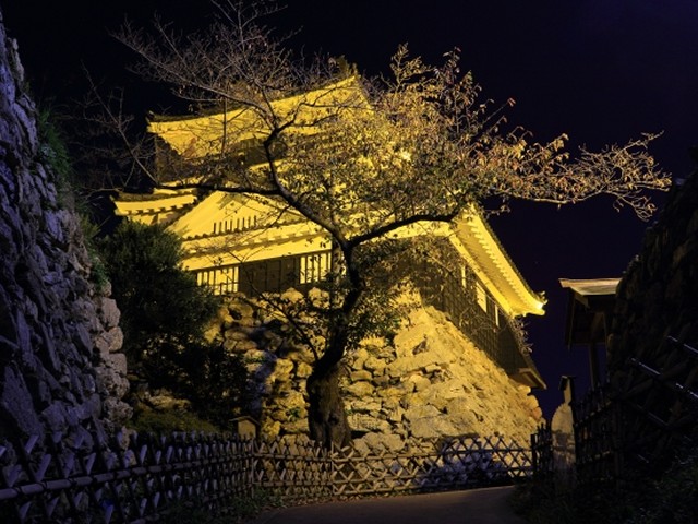 浜松城桜まつりの浜松城のライトアップ