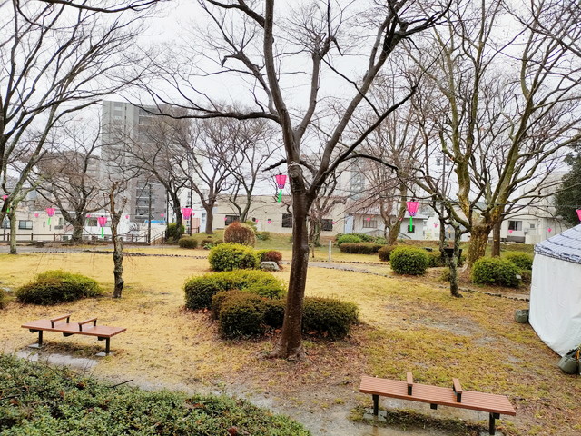 浜松城桜まつりは屋台や出店も大人気