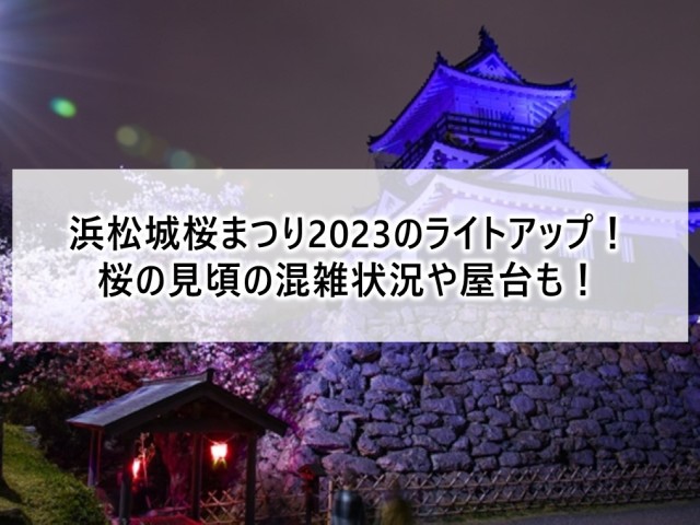 浜松城桜まつり2023はライトアップがすごい！見頃の混雑や屋台も